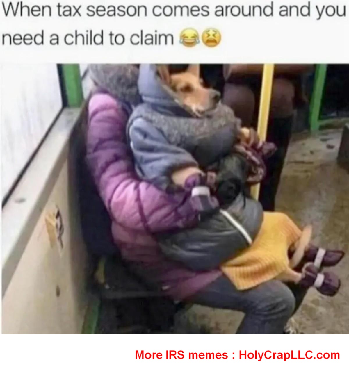 IRS Meme 18